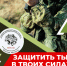 Омичей приглашают в отряд «БАРС-55»!. - Колосовский муниципальный район