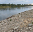Повышение уровня воды на реке Витим в районе поселка Мама достигло 5 метров - IrkutskMedia.Ru