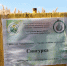 В Запорожской области продолжают изучать отечественные сорта озимых культур на демонстрационных участках - Министерство АПК