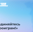 Жители Пермского края могут принять участие в «Нейроиграх» - Министерство информразвития и связи