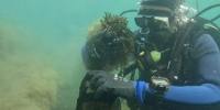 Краснокнижные виды водорослей обнаружили ученые в Черном море у берегов Анапы - Кубанские Новости