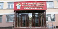 Директора конного клуба вызвали в СК из-за травмы нижегородки - НИА Нижний Новгород