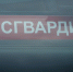 В Тольятти росгвардейцы задержали подозреваемую в краже из магазина белья - ProGorodSamara.Ru