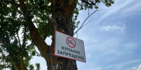 «Купание запрещено»: не всех тонувших за неделю петербуржцев удалось спасти - Neva.Today