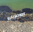В Таганроге мазут выкинуло на побережье в районе Богудонии - Bloknot-Taganrog.Ru