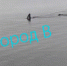 Фото: скриншот из видео | Огромную акулу Мако заметили возле Большого Камня и сняли на видео - PrimPress.Ru