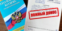 «Суд вынес приговор за ложный донос: жительница региона обвинила родного сына» - Николаевский районный суд