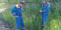 В Тайшете спасатели вызволили собаку из глубокого колодца - ИА Тайшет24