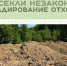 В Химках устанавливают обстоятельства появления незаконных свалок - РТВ-Подмосковье