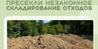 В Химках устанавливают обстоятельства появления незаконных свалок - РТВ-Подмосковье