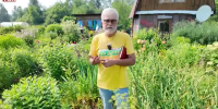Видео - ТВН