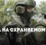 Защити родной регион: ведется набор добровольцев в отряд «Барс-Саратов» - Газета Аткарская газета
