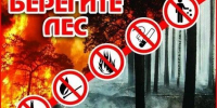 В лесах Татарстана обустроили 225 зон отдыха для защиты от пожаров - Волжская новь