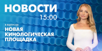 Новости Петербурга к 15:00 - tvspb.ru - ТК Санкт-Петербург