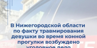 В Нижегородской области возбуждено уголовное дело по факту получения травмы девушкой при падении с лошади на конной прогулке - СУ СК РФ