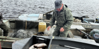 В Усть-Цильме запустят производство рыбной колбасы и консервов - Bnkomi.Ru