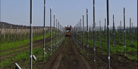 В Адыгее на господдержку аграриев направили почти 850 млн рублей - Maykop.Sm.News