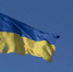 Верховная рада отправила в отставку премьера Свириденко и весь кабмин Украины - M24.Ru