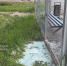 3gwxaas49qi1978t2ml0blvjohsya2hw - Novosti-Saratova.Ru