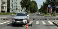 Госавтоинспекция Вологодской области - Cher-Poisk.Ru