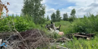 В Дуванском районе выявлена несанкционированная свалка на землях лесного фонда - Минэкологии РБ