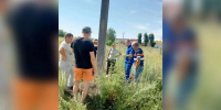 Лежавшую без сил в траве 80-летнюю пенсионерку нашли воронежские полицейские и волонтеры - Обозреватель.Врн