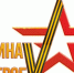 Областной фестиваль-конкурс патриотического творчества «Родина героеV» - Центр народного творчества