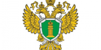 Прокуратура завершила проверку по факту схода автомотрисы на станции Палики Калужской области. - Ульяновский район