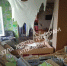 В Щекине на улице Пионерской произошел взрыв бытового газа в квартире - ИА Тульская служба новостей