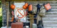 У двух арендаторов лесных участков в Чувашии нашли нарушения - ИА Чувашинформ