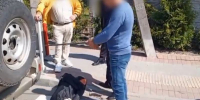 В Калининграде убийцу мужа любовницы признали виновным - ИА Русский Запад