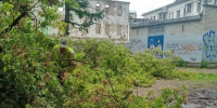 Специалисты устраняют последствия непогоды - Мэрия города