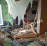 Щекинская прокуратура начала проверку после взрыва газа в квартире на Пионерской - ИА Тульская служба новостей