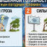 О введении режима повышенной готовности - Чухломский район