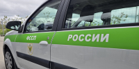 Орнитологическое исследование проведено после вмешательства судебных приставов - УФССП Республики Татарстан