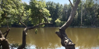 Снимок экрана 2026-07-14 в 20.34.29.png - Городской округ Отрадный