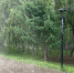Сильные дожди нагрянут в Нижегородскую область - фото 1 - vGorodeN.Ru