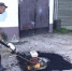 Более 50 мероприятий на коммунальных сетях провели сотрудники водоканала Королева за месяц - Правительство Московской области