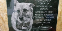Погибла при исполнении долга: на Кубани открыли памятник служебной собаке - Югополис