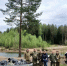 «Вода России»: Ленобласть очистила берега от 95 кубометров мусора - Комитет по природным ресурсам