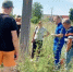 Обессилевшую 80-летнюю бабушку спасли спустя сутки в Воронежской области - Bloknot-Voronezh.Ru