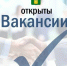 Открыты вакансии в муниципальном учреждении. - Город округ Мелитополь