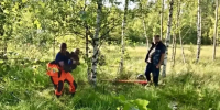 Мужчина с пятилетним ребенком попали в беду на болоте в Ломоносовском районе - ЛенТВ24