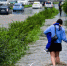 Сегодня во Владивостоке очень сильный дождь и до +30 °С - NewsVl.Ru