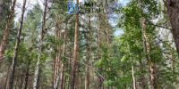 Бурятия перестала гореть - ИА Байкал-Daily