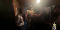 Крупная плантация конопли ликвидирована полицейскими в Хабаровске - Khabara.Ru