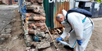 фото: vlc.ru |  Во Владивостоке объявили даты масштабной зачистки города от вредителей - Деловой еженедельник Конкурент
