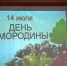 Праздник сочного лета: День смородины - Центр соцобслуживания населения