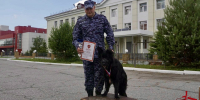 Кинологический тандем из Магадана завоевал бронзу на соревнованиях Восточного округа Росгвардии - Росгвардия