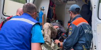 Пенсионер найден в сахалинском лесу через 9 дней после пропажи пресс-служба ГУ МЧС России по Сахалинской области - SakhalinMedia.Ru